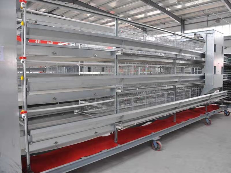 71f8c47445e418868c22e611793ee6c 71f8c47445e418868c22e611793ee6c