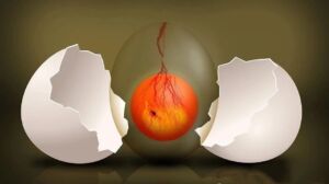 v2-a1508d87bcb6130433eeaf93cd557349_1440w-300x168 v2-a1508d87bcb6130433eeaf93cd557349_1440w-300x168