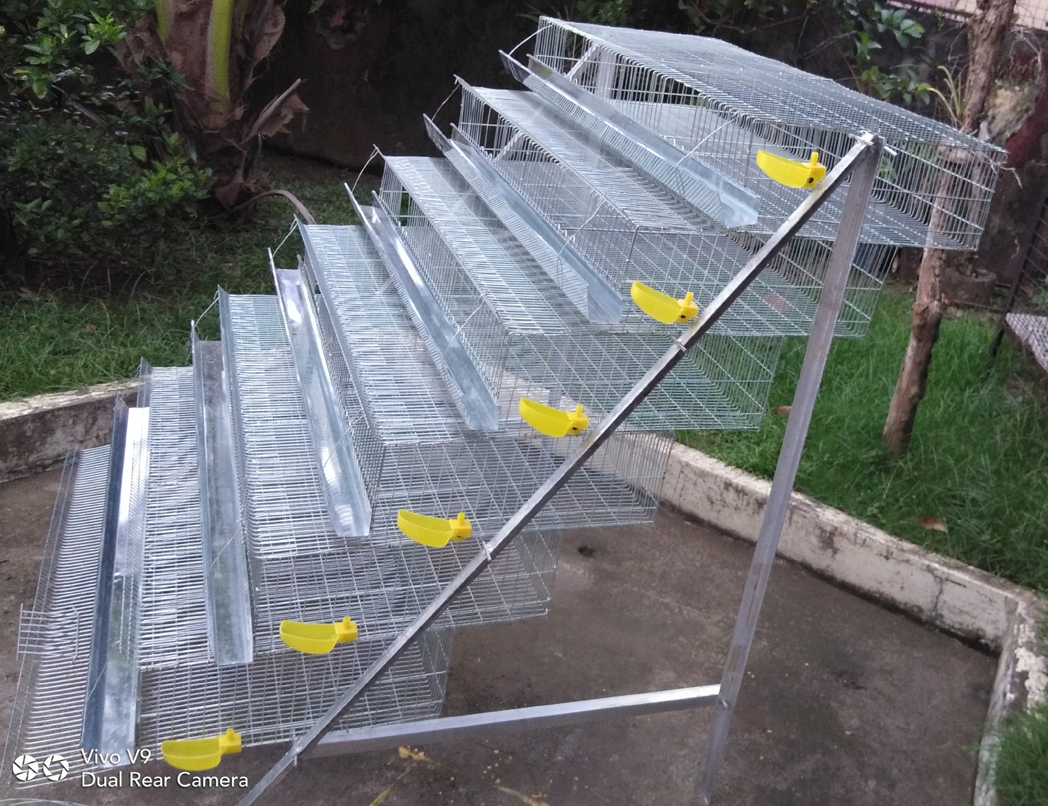 quail-cage-2 quail-cage-2