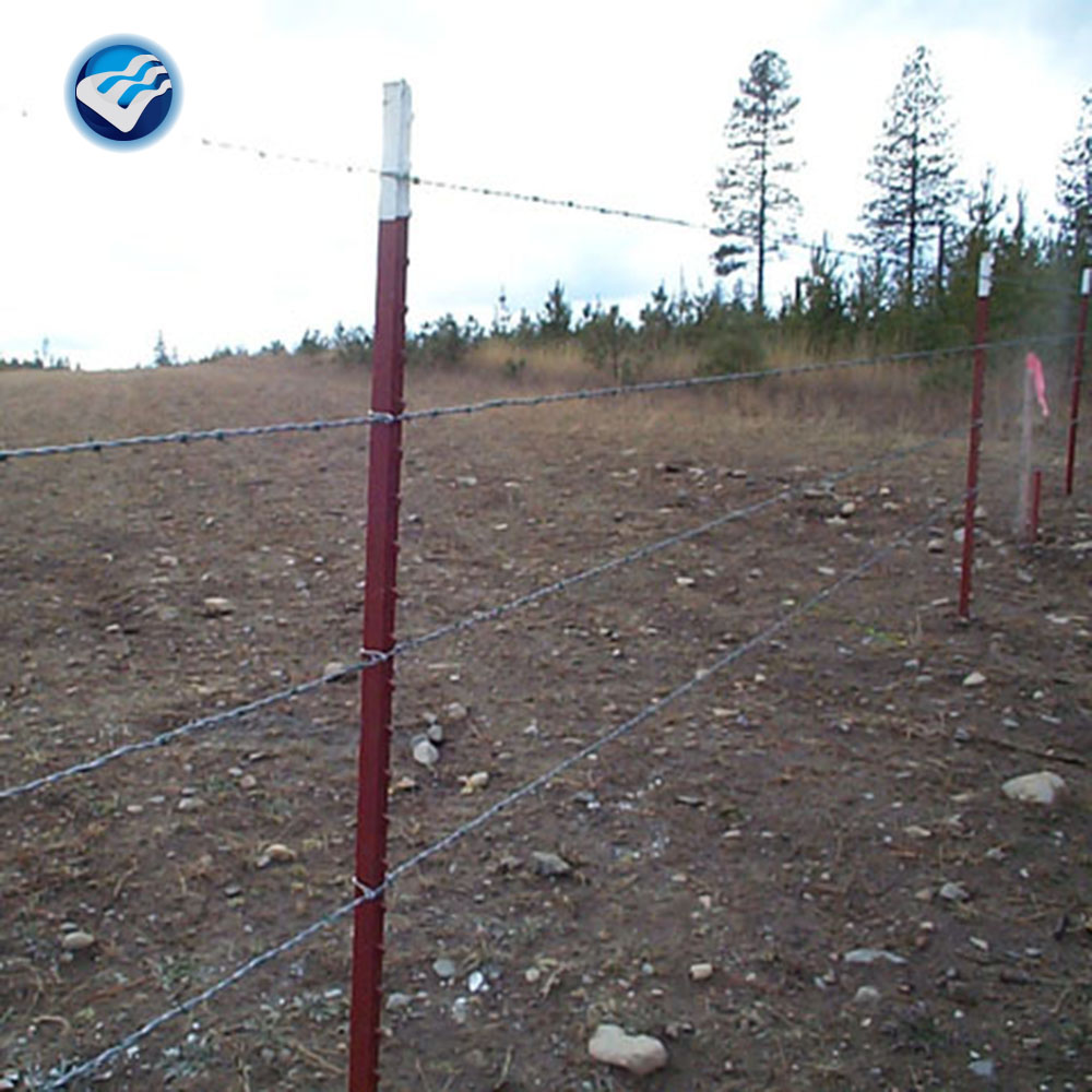 photobank-2 photobank-2