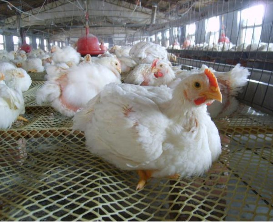 v2-cd6d94a248888237066fb4dde9e12b72_1440w v2-cd6d94a248888237066fb4dde9e12b72_1440w