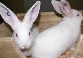 微信截图_20210128224422 微信截图_20210128224422