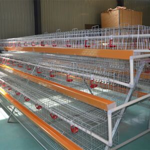 chicken-cage-300x300