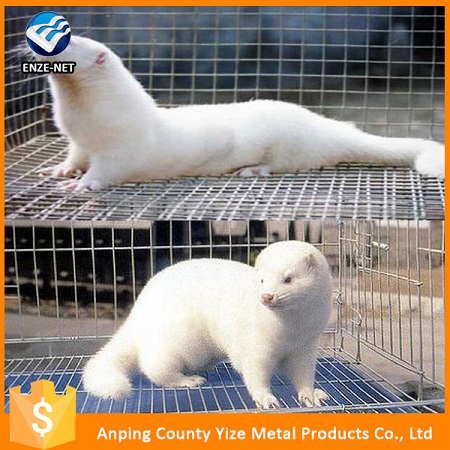 Mink Cage