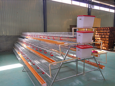 Animal Breeding Cage