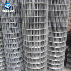 Welded-wire-mesh-43-300x300