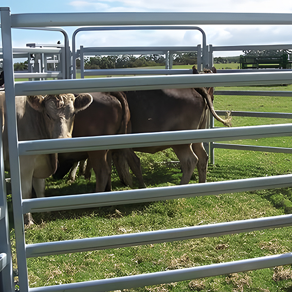 An In-Depth Guide to Cattle Fencing: Types, Benefits, and Installation