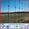 Grassland Fence