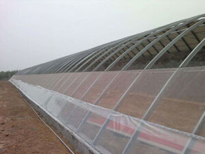 DM_20250821143752_001