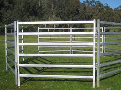 Livestock Equipments