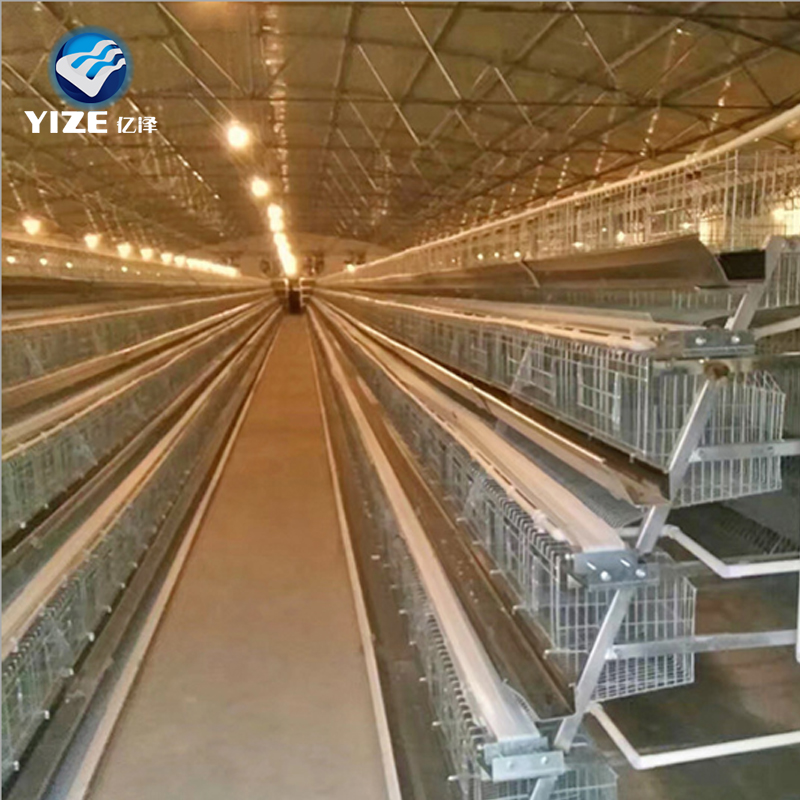  Chicken Cage System Advantages
