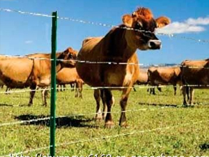 Bedding Series Guardrail – Cattle Fence