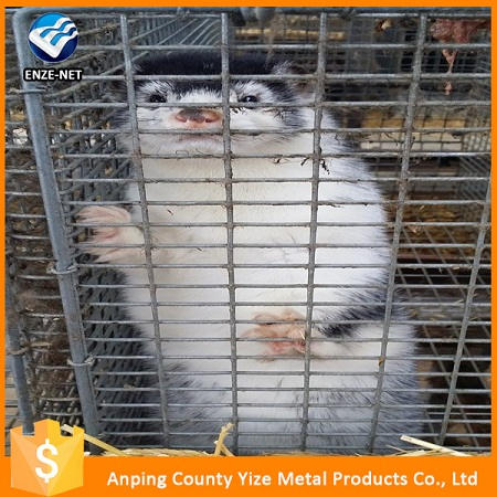Mink Cage