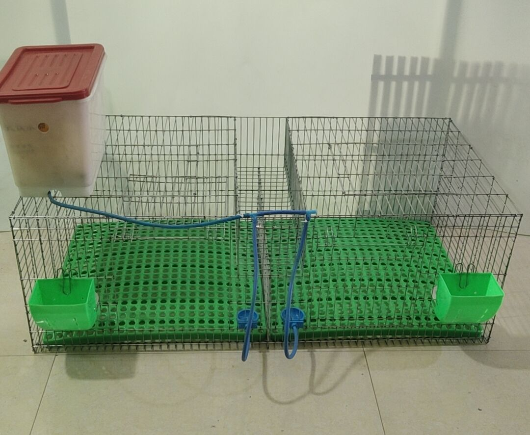 New model 2 holes rabbit cage