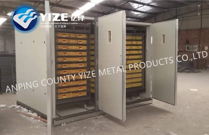 The Factors Affecting Hatching