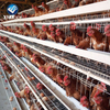 Chicken Cage