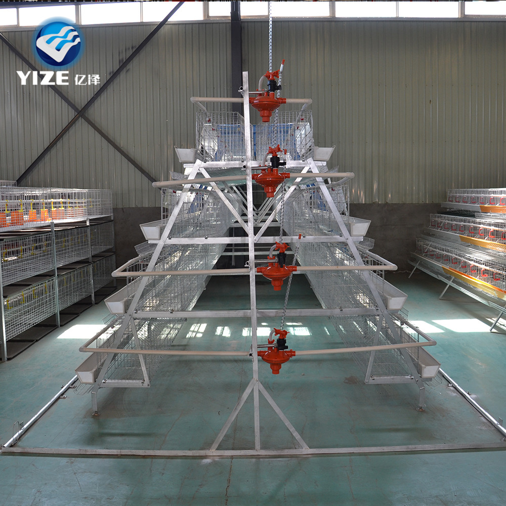Chicken Cage